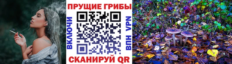 Галлюциногенные грибы MAGIC MUSHROOMS Мантурово